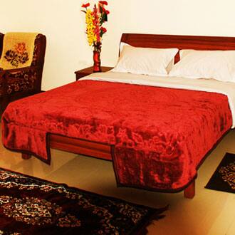 Palace Avenue Hill Resort, Kuttikkanam 4